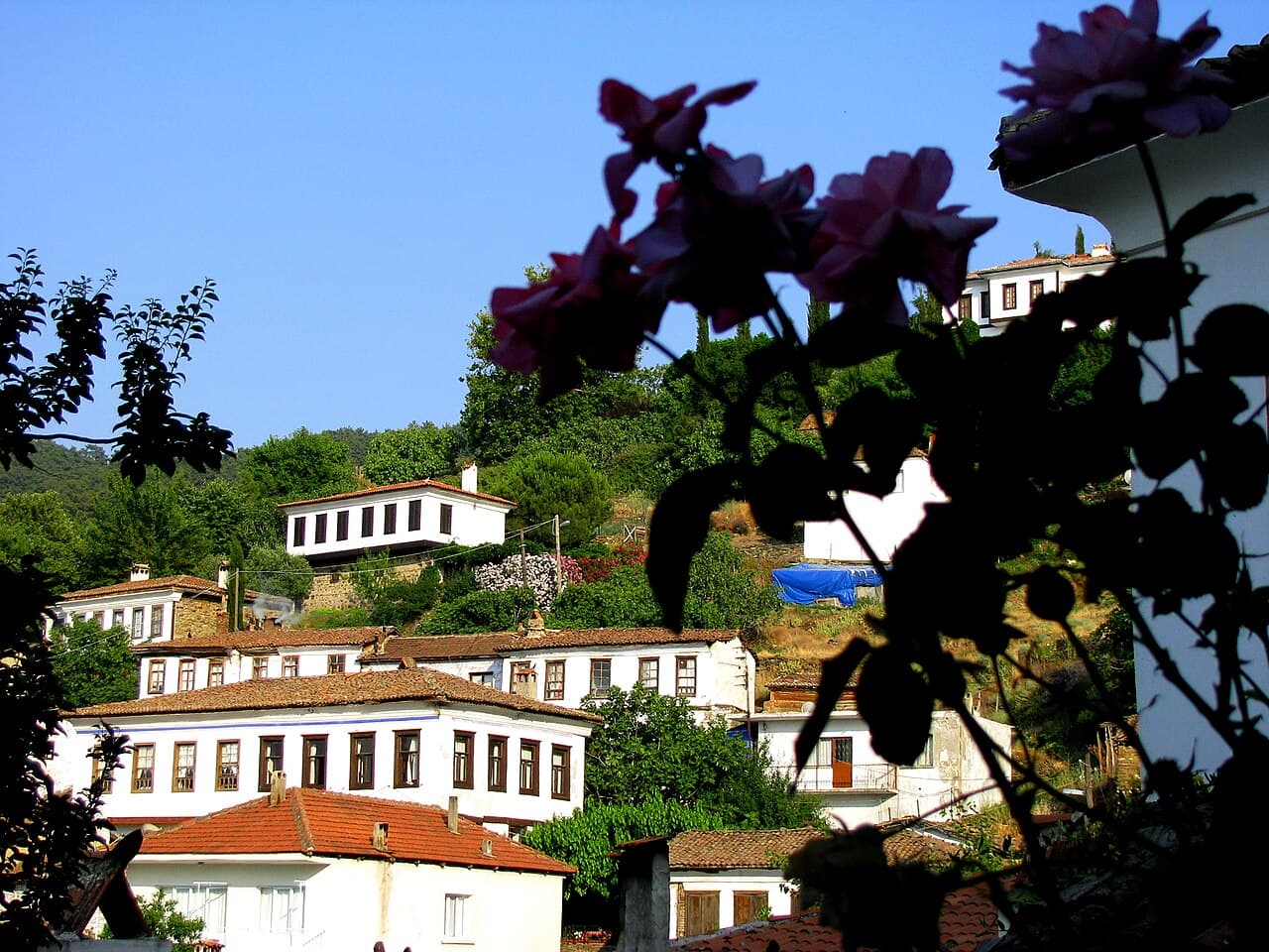Ephesus, Terrace Houses & Sirince Village